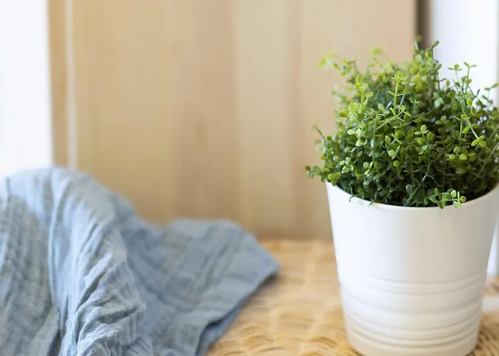 Beachfront With Terrace And Seaviews * Fuengirola